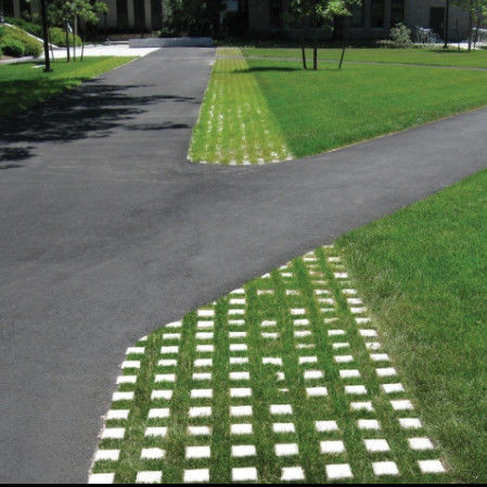 Plastic Grass Grid for Parking Lot Fire Exit HDPE Pavers Geogrid for Landscape Ground Geocell Gravel Paddock Grid