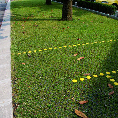 Plastic Grass Grid for Parking Lot Fire Exit HDPE Pavers Geogrid for Landscape Ground Geocell Gravel Paddock Grid