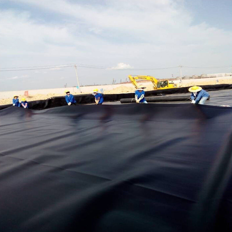 Factory Price Geomembrane Pond Liner 0.5mm 1mm 1.5mm 2mm HDPE LDPE Lldpe PVC EVA High Quality Geomembrane Pond Liner