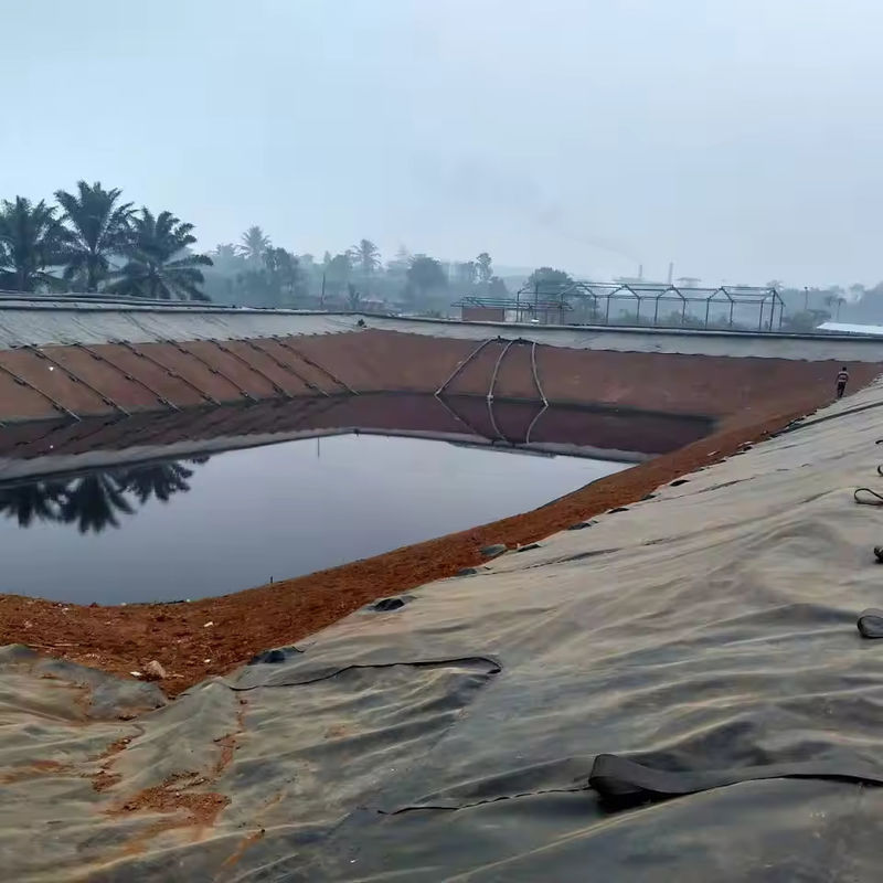 Geomembrane Pond Liner 0.5mm 1mm 1.5mm 2mm HDPE LDPE Lldpe PVC EVA Geomembrane Pond Liner
