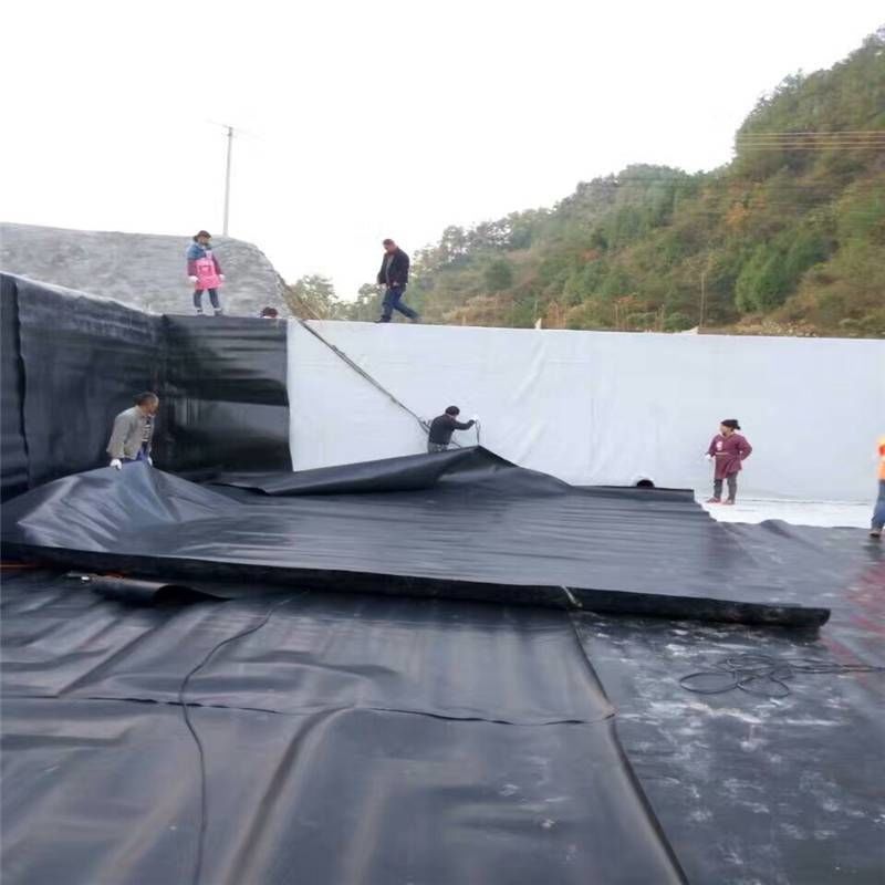 Geomembrane Pond Liner 0.5mm 1mm 1.5mm 2mm HDPE LDPE Lldpe PVC EVA Geomembrane Pond Liner