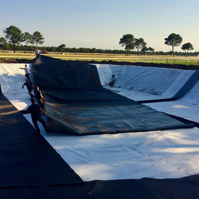 Industrial Style 1mm Geomembrane Pond Liner HDPE Plastic Liner Geomembrane Pond Liner For Fish Pond Made PVC LDPE LLDPE PP Materials For Landfill