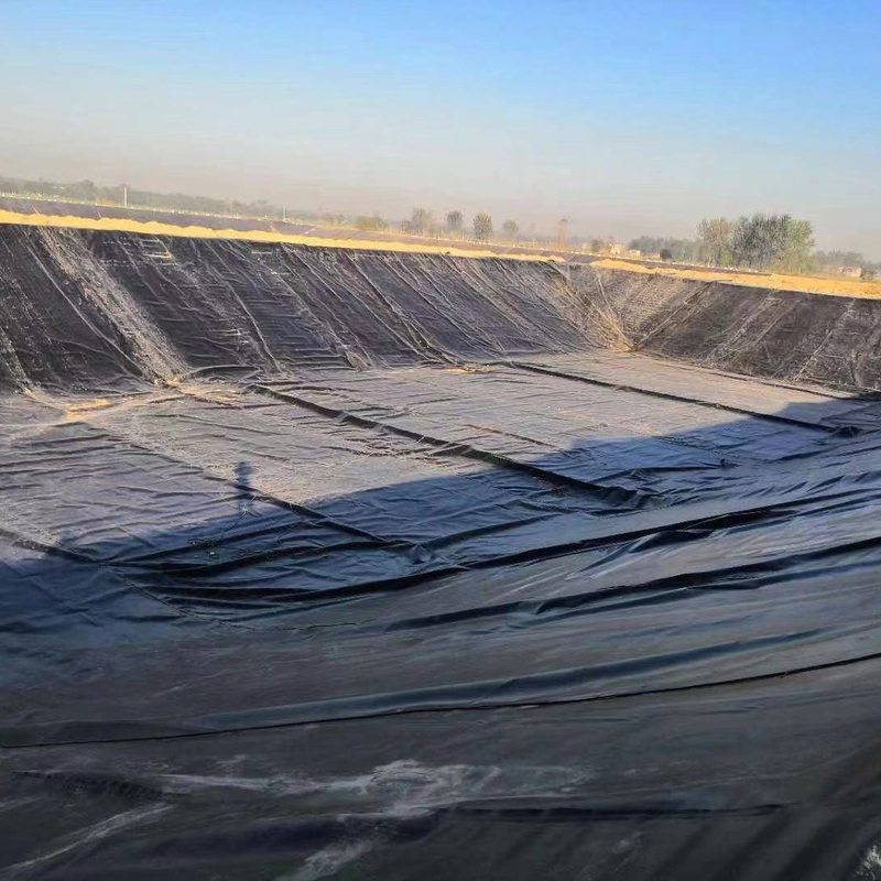 HDPE Geomembrane Liner for Aquaculture, Fish Farm, Pond, Dam, Pool, and Water Containment Applications