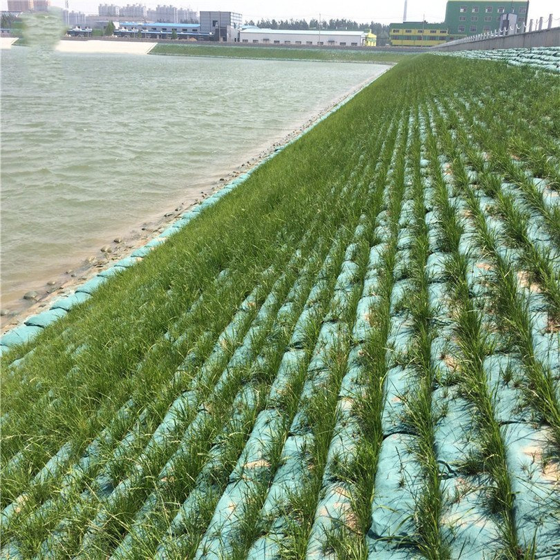 Industrial 40*80cm Geotextile Geobag for Highway Slope Protection Geotextile Geobag Afforestation Planting Grass Flood Control Geotextile Geobag