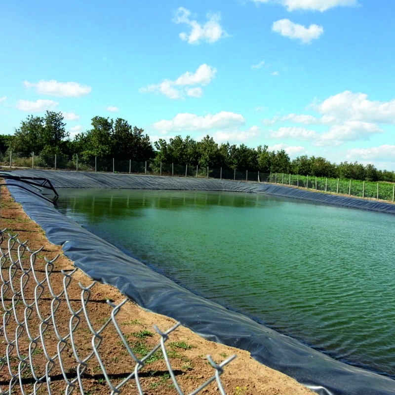 Outdoor Polyethylene Fish Farm Geomembrane Pond Liner HDPE Containment Liner Large Pond Liner Waterproof Geomembrane Pond Liner