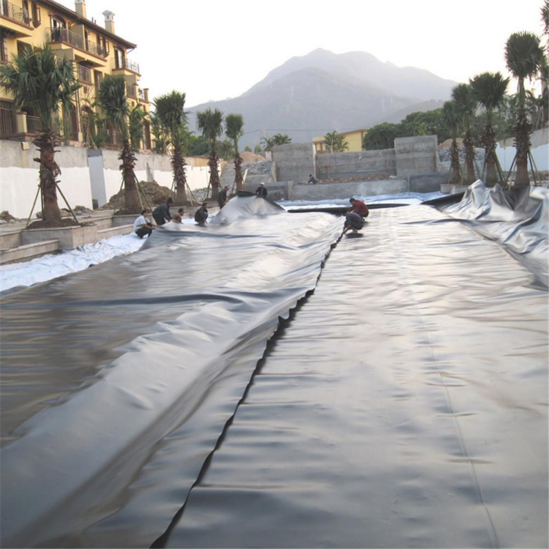 High Density HDPE Geomembrane Liner Sheet Waterproofing Membrane for Fish and Shrimp Aquaculture