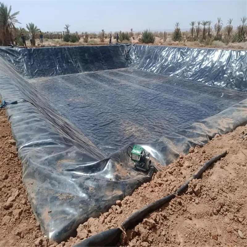High Density HDPE Geomembrane Liner Sheet Waterproofing Membrane for Fish and Shrimp Aquaculture