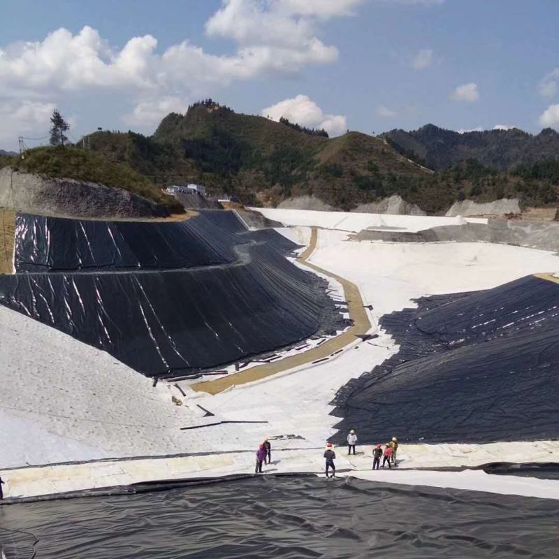 Hard Black Liner Hdpe Waterproof Pond Liner Geomembrane Polyethylene Factory Price for Sale