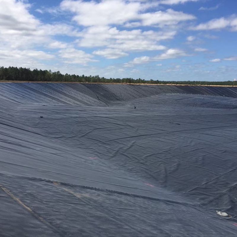 Hard Black Liner Hdpe Waterproof Pond Liner Geomembrane Polyethylene Factory Price for Sale