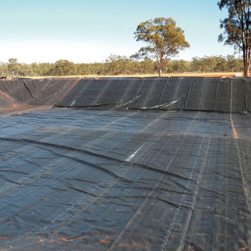 Hard Black Liner Hdpe Waterproof Pond Liner Geomembrane Polyethylene Factory Price for Sale