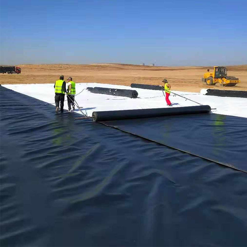 0.3mm/0.4mm/0.6mm/0.75mm/1mm/1.4mm/1.5mm 20mil 30mil 40mil HDPE Geomembrane Pond Liner /Geomembrane Manufacturer Factory Distributor Price