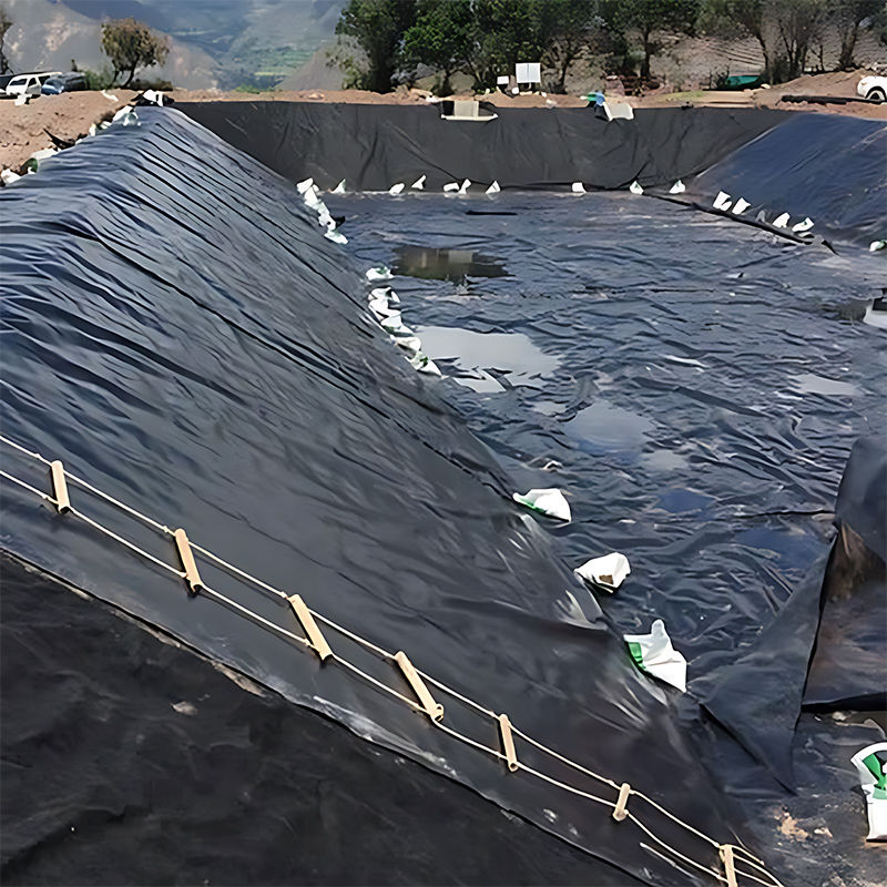 0.3mm/0.4mm/0.6mm/0.75mm/1mm/1.4mm/1.5mm 20mil 30mil 40mil HDPE Geomembrane Pond Liner /Geomembrane Manufacturer Factory Distributor Price