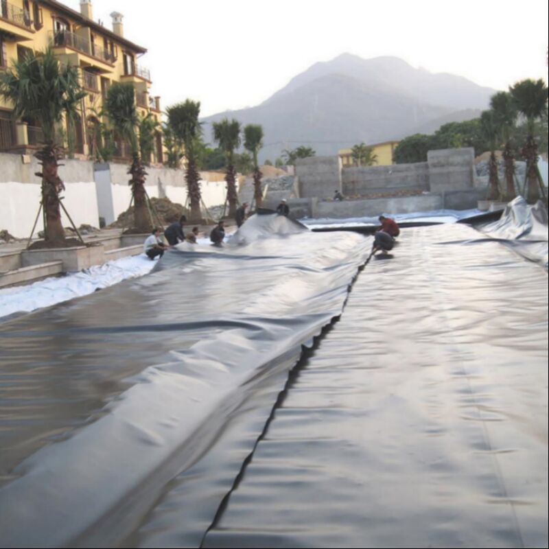 Water Production Farming Agricultural Dam Landfill Site Fish Pond HDPE Geomembrane Lined Plastic Film