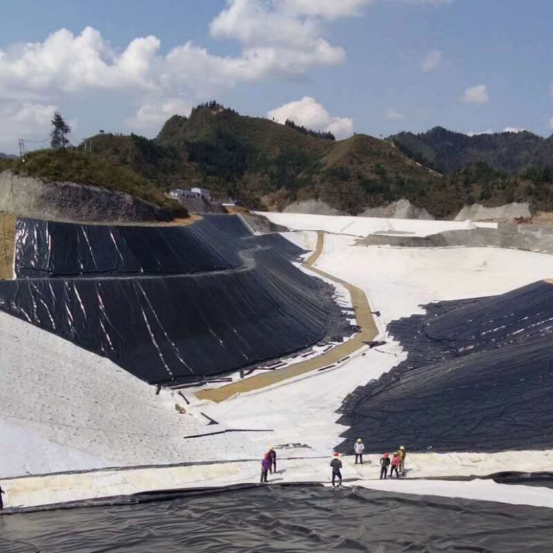 Water Production Farming Agricultural Dam Landfill Site Fish Pond HDPE Geomembrane Lined Plastic Film