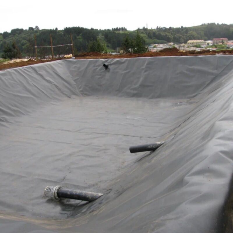 0.75mm HDPE Industrial Geomembrane for Fish Farm Pond Liner Waterproofing Applications Dam Landfill