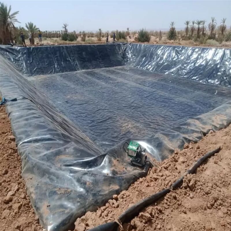 Waterproof Smooth Surface Agricultural Pond Liners Fish Shrimp Farming Artificial Lake Landfill HDPE Geomembrane