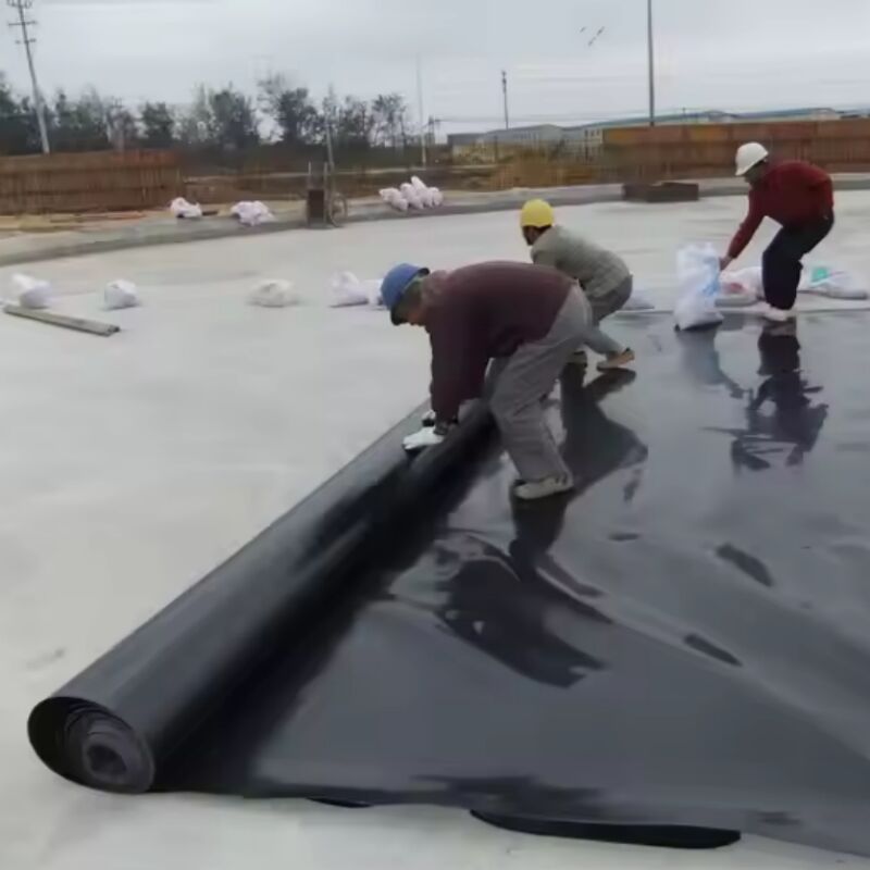 Waterproof Smooth Surface Agricultural Pond Liners Fish Shrimp Farming Artificial Lake Landfill HDPE Geomembrane