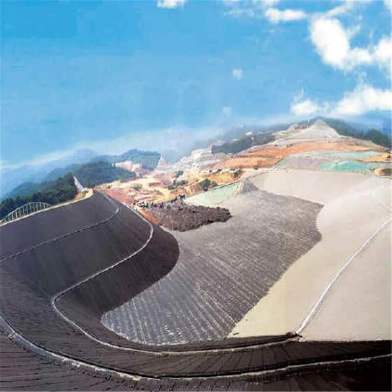 Durable Black HDPE Geomembrane Pond Liner 0.5mm–2.0mm for Circular Fish Tanks, Aquaculture Water Storage, Reservoirs and Dam Waterproofing Applications